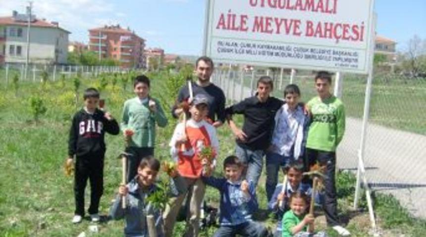 &Ouml;ğrenciler ve aileleri tarafından dikilen 128 meyve fidanı ilk mahs&uuml;l&uuml;n&uuml; verdi