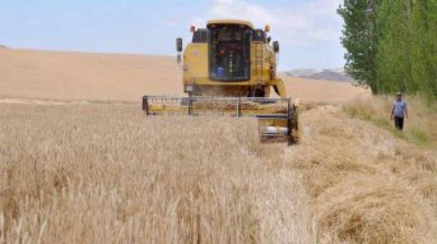 Yerk&ouml;y&rsquo;de 500 bin dekarlık alanda hububat ekilecek