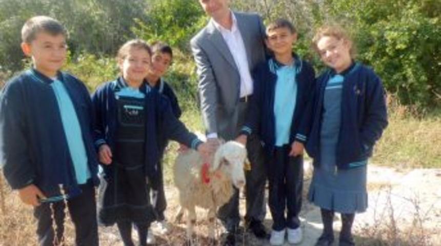 Mutlu Kolejinden Van'a bayram hediyesi