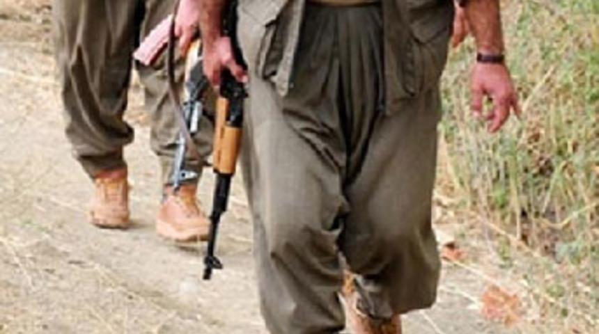 Van'da eyleme gelen ter&ouml;ristler yakalandı