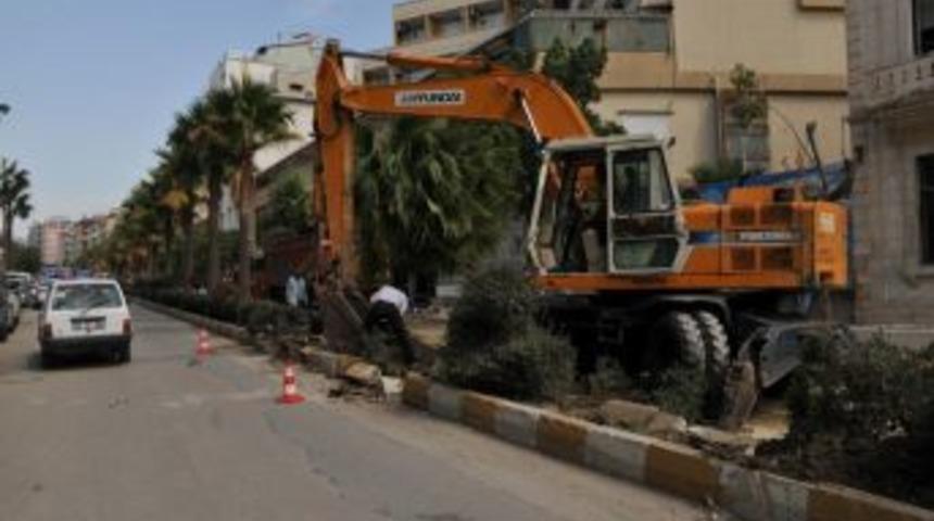 Ref&uuml;jlerdeki palmiye ağa&ccedil;ları s&ouml;k&uuml;l&uuml;yor