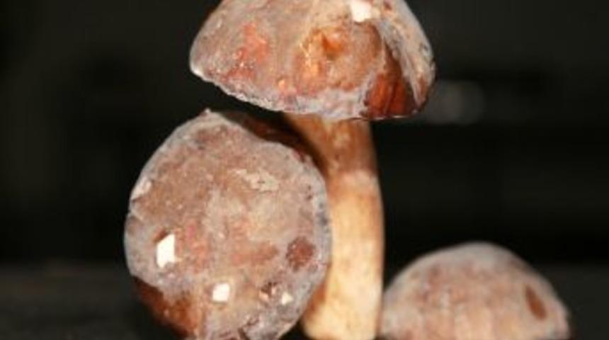 Mantara AB standardı geliyor