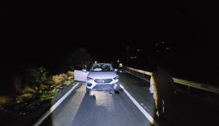 Yer: Tunceli! Cipin &ccedil;arptığı ayı &ouml;ld&uuml;