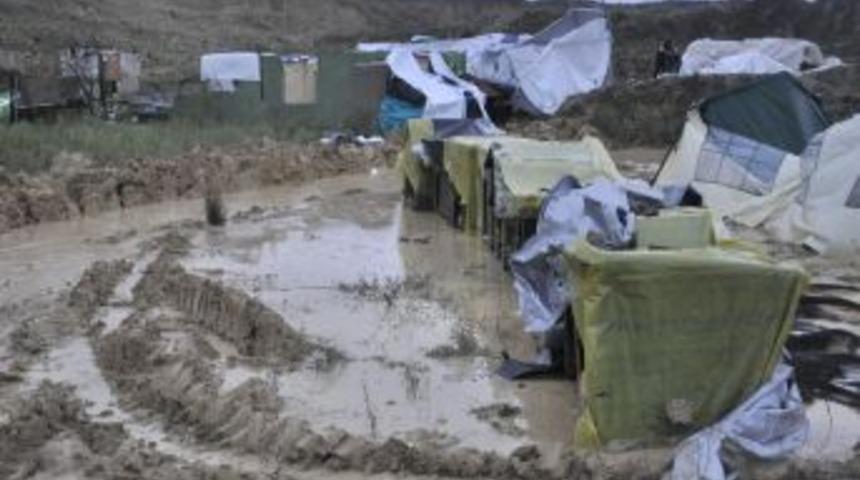 &Ouml;ZEL - Zehirlenen k&ouml;pekler şimdi de bal&ccedil;ıkla cebelleşiyor