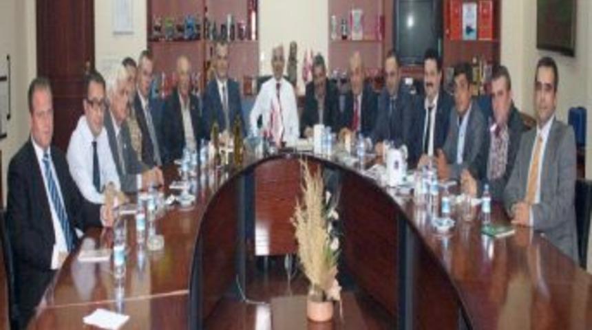 &ldquo;Zeytinde 2009&rsquo;daki fiyatlar makul karşılanabilir&rdquo;