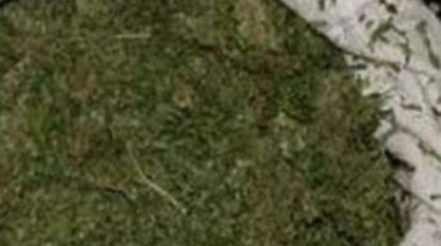 Ak&ccedil;akale'de kubar esrar ele ge&ccedil;irildi