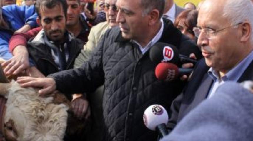 CHP'li G&uuml;rsel Tekin: KCK tutuklamalarına karşıyız