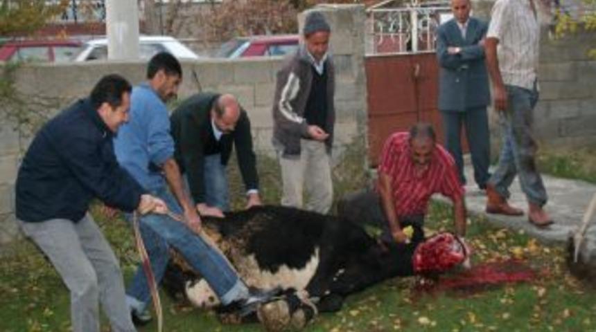 Erzincan'da park ve bah&ccedil;elerde kurban kesilmesine izin verilmeyecek