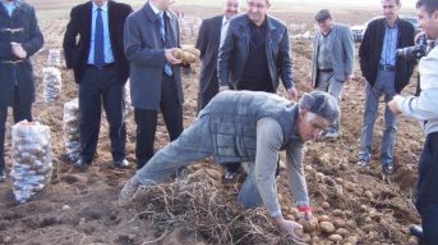 Deprem, Ahlatlı patates &uuml;reticisini de vurdu