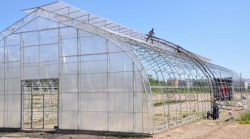 Sivas&rsquo;taki atıl seralarda yılda 2 milyon fidan yetiştirilecek