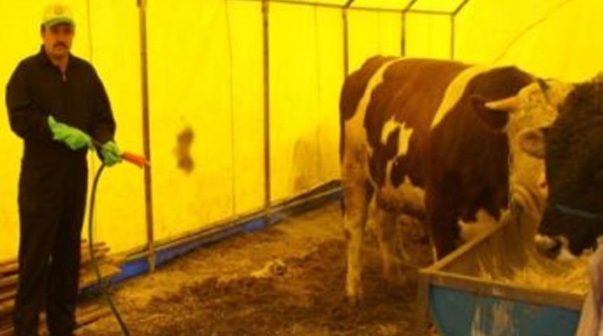 Kurban satış yerleri dezenfekte edildi