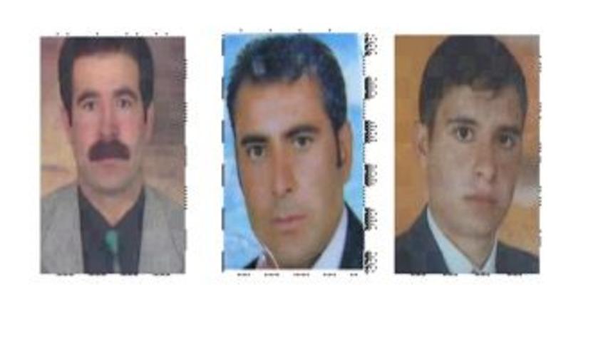 BDP'li Patnos Belediye Başkanının ağabeyi, kardeşi ve yeğeni gasptan tutuklandı