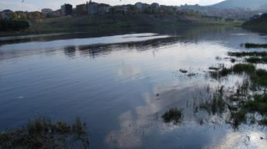 Sultanbeyli g&ouml;letinde binlerce balık kıyıya vurdu