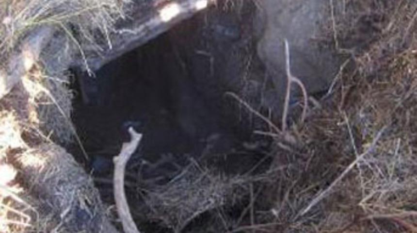 Operasyonların hedefi kış &uuml;stlenmesi