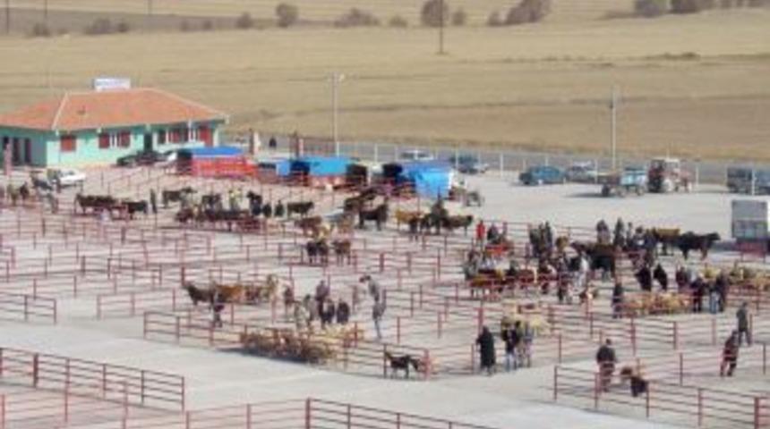 Sarıkaya Canlı Hayvan Pazarı Kurban Bayramı &ouml;ncesi a&ccedil;ıldı