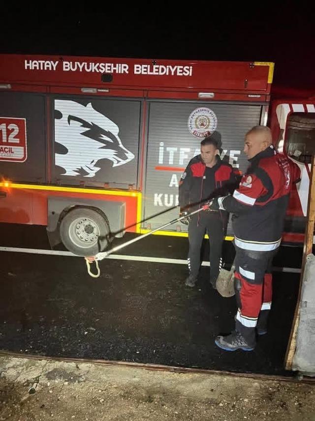 Samandağ&rsquo;da yerleşim yerinde g&ouml;r&uuml;len yılan yakalanarak doğaya bırakıldı 2