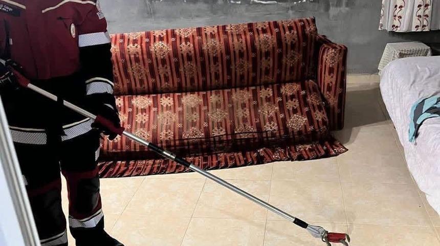 Samandağ&rsquo;da yerleşim yerinde g&ouml;r&uuml;len yılan yakalanarak doğaya bırakıldı