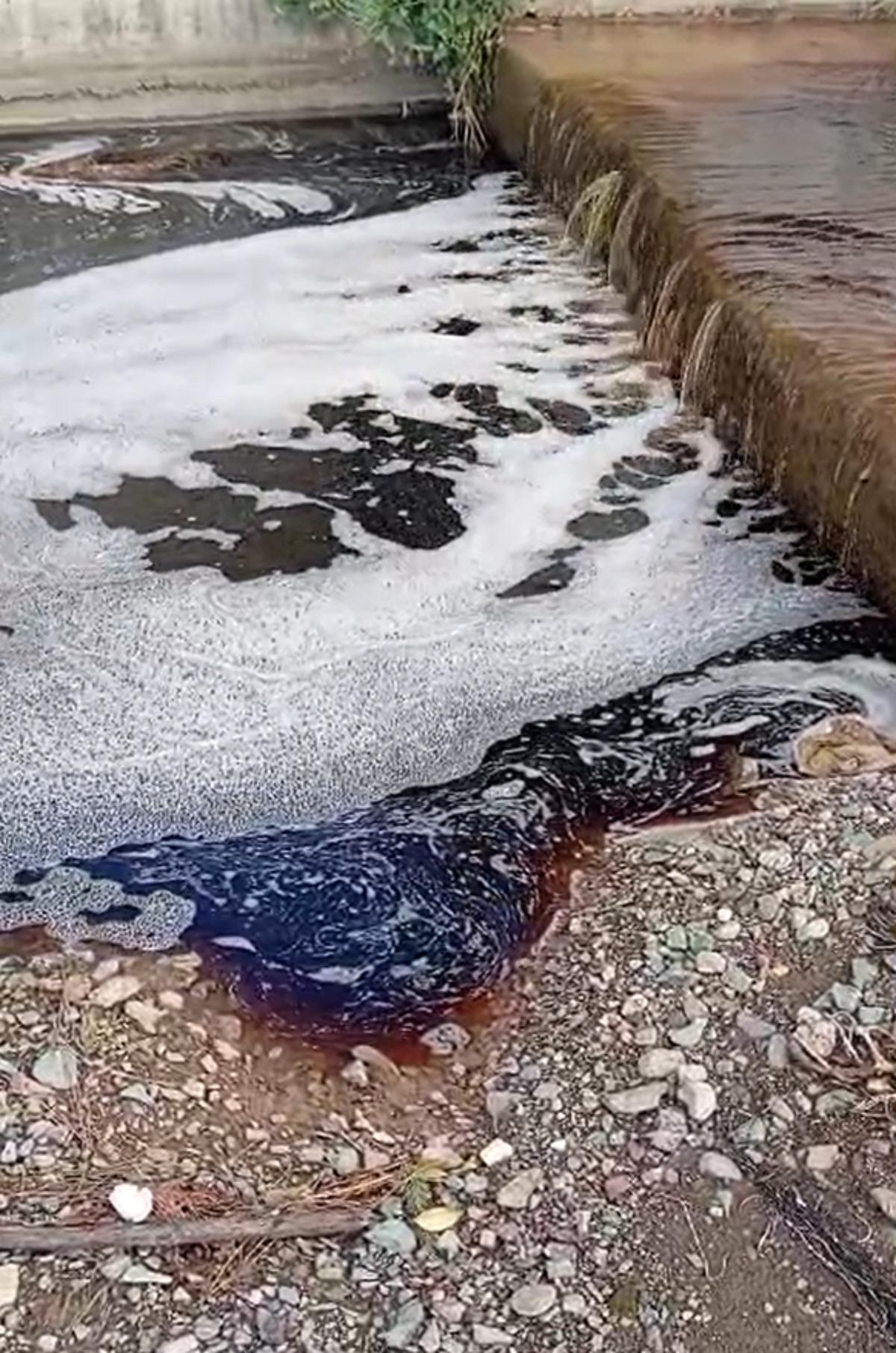 Yalova da korkutan g&ouml;r&uuml;nt&uuml;: Denizin rengi kırmızıya d&ouml;nd&uuml; 2