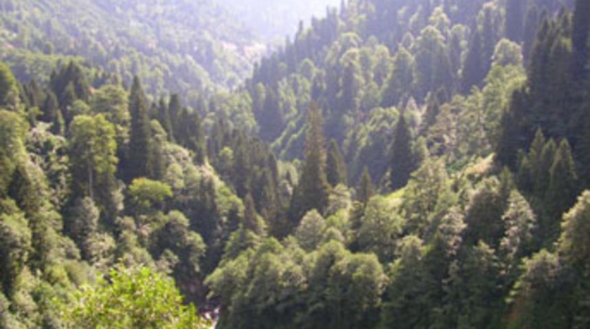 G&ouml;revleri doğayı korumak peki onlar ne yaptı!