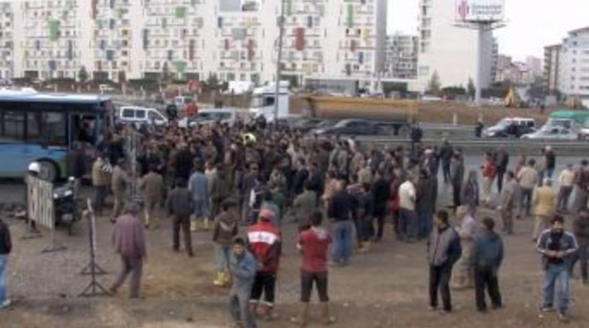 Kurban satıcılarının 'Angus' isyanı büyüyor