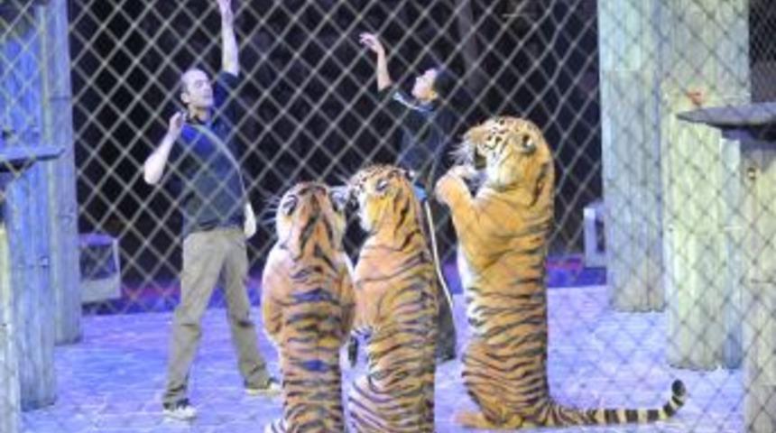 B&uuml;y&uuml;k Ankara Sirki, provalara başladı