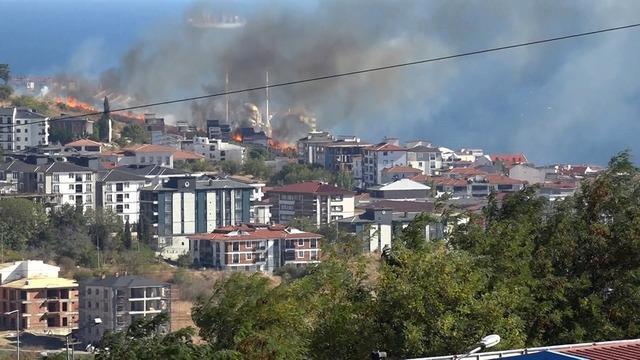 Alevlerin arasından kurtarılan kaplumbağaya vatandaş sahip çıktı 4