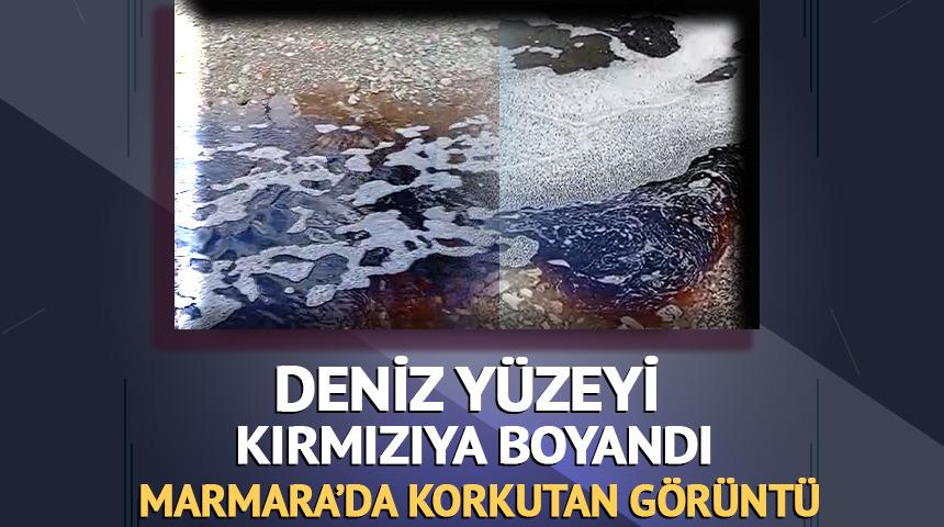 Yalova'da korkutan g&ouml;r&uuml;nt&uuml;: Denizin rengi kırmızıya d&ouml;nd&uuml;