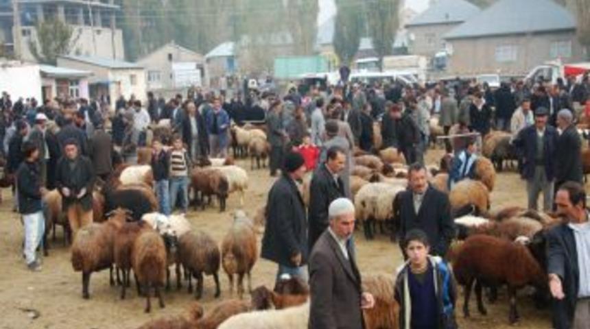Kurbanlık pazarında b&uuml;y&uuml;kbaş hayvanlar daha &ccedil;ok rağbet g&ouml;r&uuml;yor