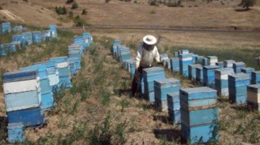 T&uuml;ketici kimyasal kalıntısı olmayan doğal &uuml;r&uuml;n istiyor