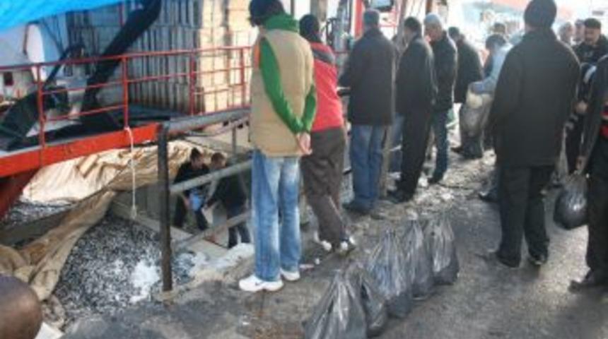 Zonguldak'ta torbası 5 liraya hamsi