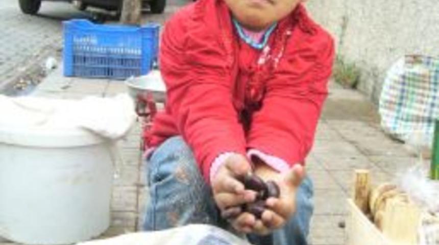 Kestane pazarda yerini aldı