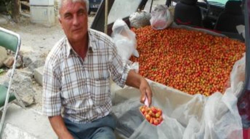 Alı&ccedil;, tezgahlardaki yerini aldı