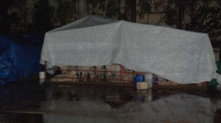 Kurbanlık satıcıları yağış nedeniyle zor anlar yaşadı