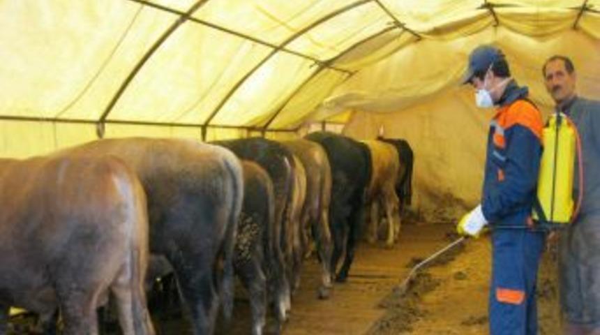 Kurban pazarlarında ila&ccedil;lama seferberliği başlatıldı