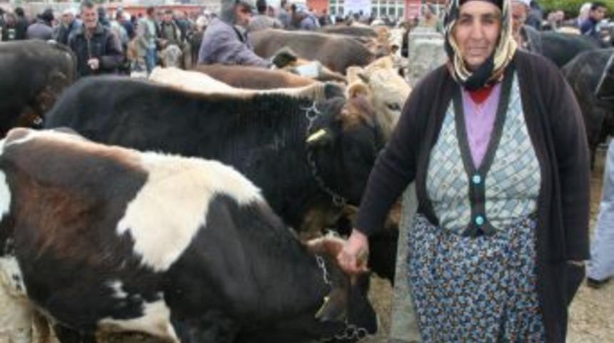 Eşiyle birlikte kurbanlık satmaya &ccedil;alışıyor