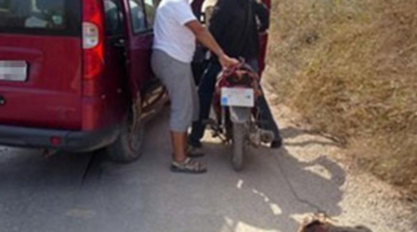 Bunu yapan insan olamaz!