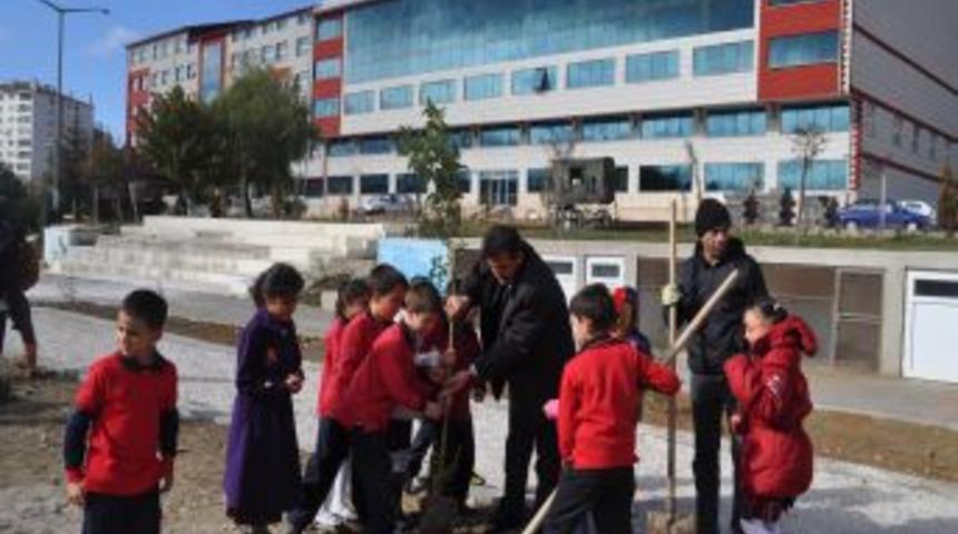 &Ouml;ğrenciler okullarının bah&ccedil;esine 200 fidan dikti
