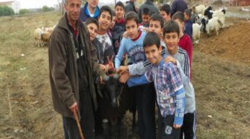 &Ouml;ğrenciler, Van&rsquo;a kurbanlık g&ouml;nderdi