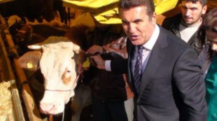 Şişli&rsquo;de 'ithal kurban' yasağı