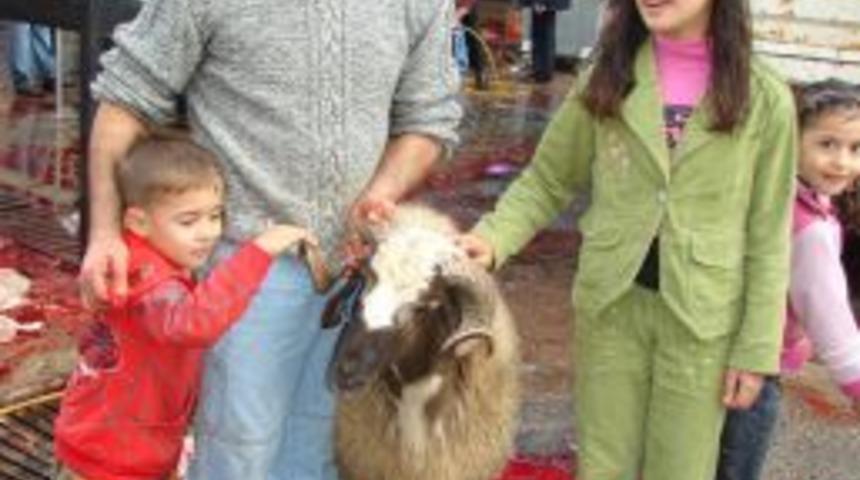 Altun: K&uuml;&ccedil;&uuml;kleri ve hamile kadınları kurban kesim yerlerinden uzak tutalım