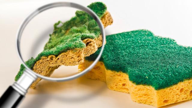 Adeta mikrop yuvası: Mutfak süngeri ne sıklıkla değiştirmeli?