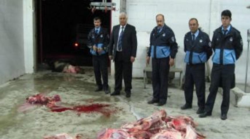 Zabıta, ka&ccedil;ak kesimcilere g&ouml;z a&ccedil;tırmıyor