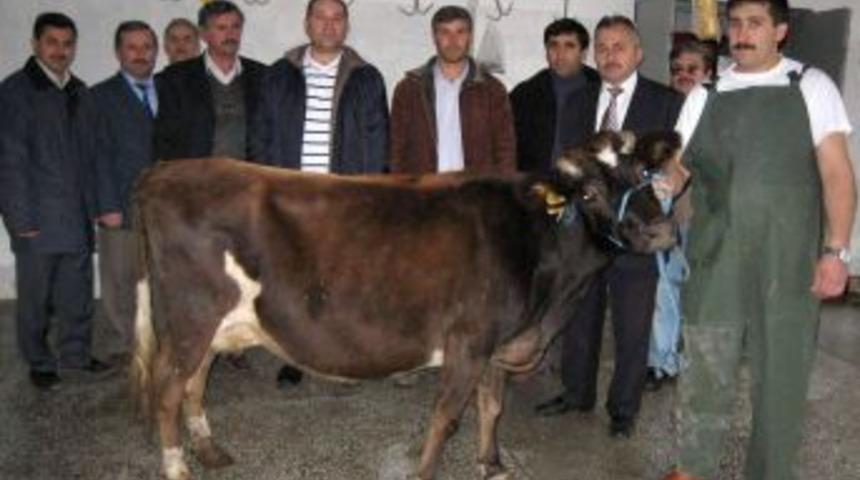 Sinop&rsquo;ta kurban kesim elemanı yetiştirme kursu