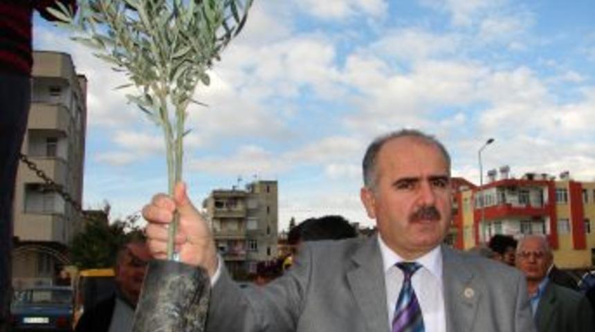 Manavgat Ziraat Odası, narenciye &uuml;r&uuml;nleri yetiştiriciliğinde &ouml;nc&uuml; olacak