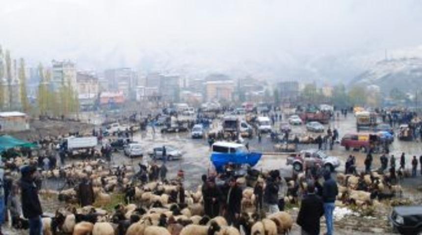 Hakkari&rsquo;de kar yağışı kurbanlık satışlarını olumsuz etkiliyor