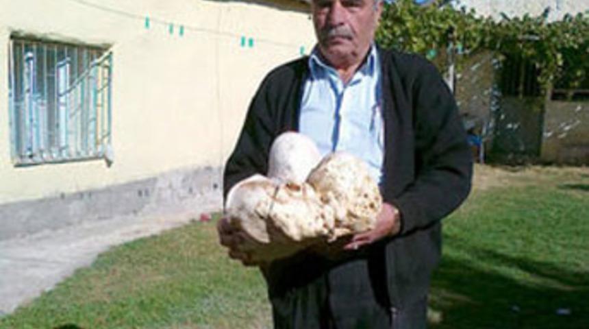 K&ouml;y halkı olarak şaşkına d&ouml;nd&uuml;k