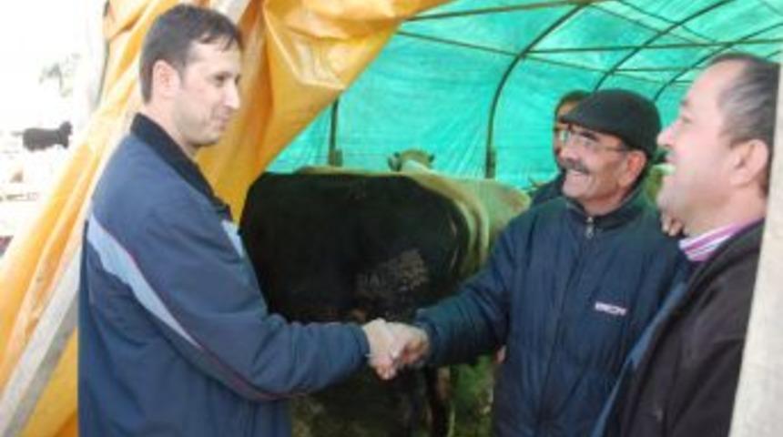 Kurbanlık pazarında son g&uuml;n hareketliliği