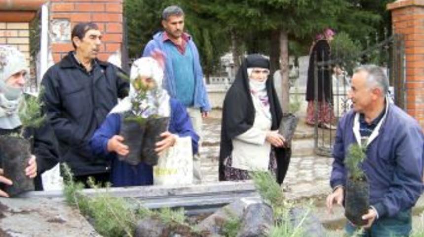 Mezar ziyaretine gelenlere &uuml;cretsiz fidan dağıtıldı