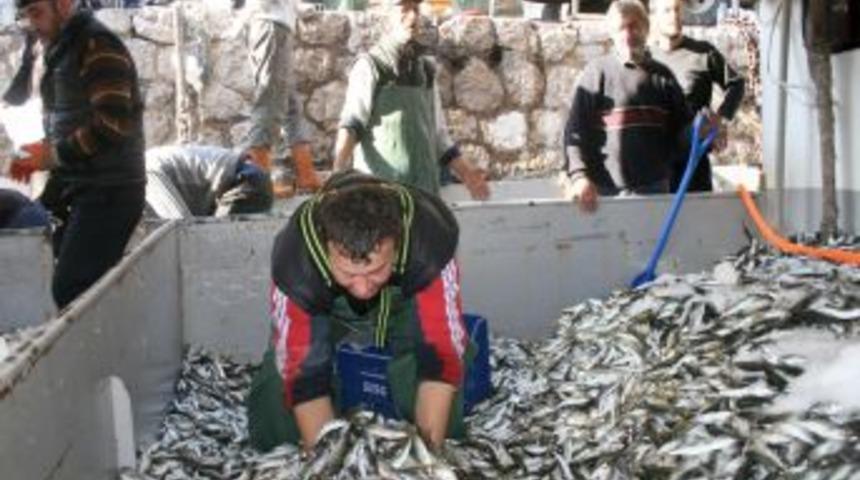 Zonguldak'ta balık bayramı