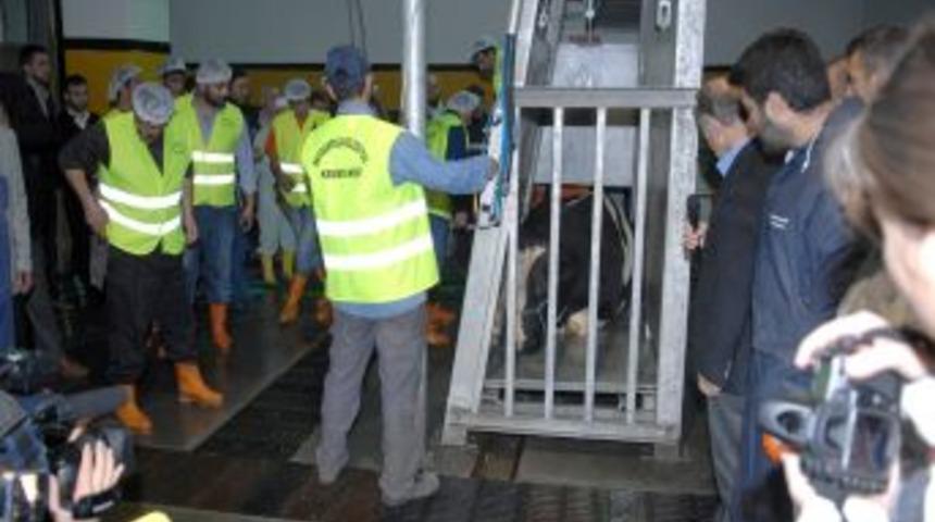 Monoray sistemde kurban kesim tatbikatı